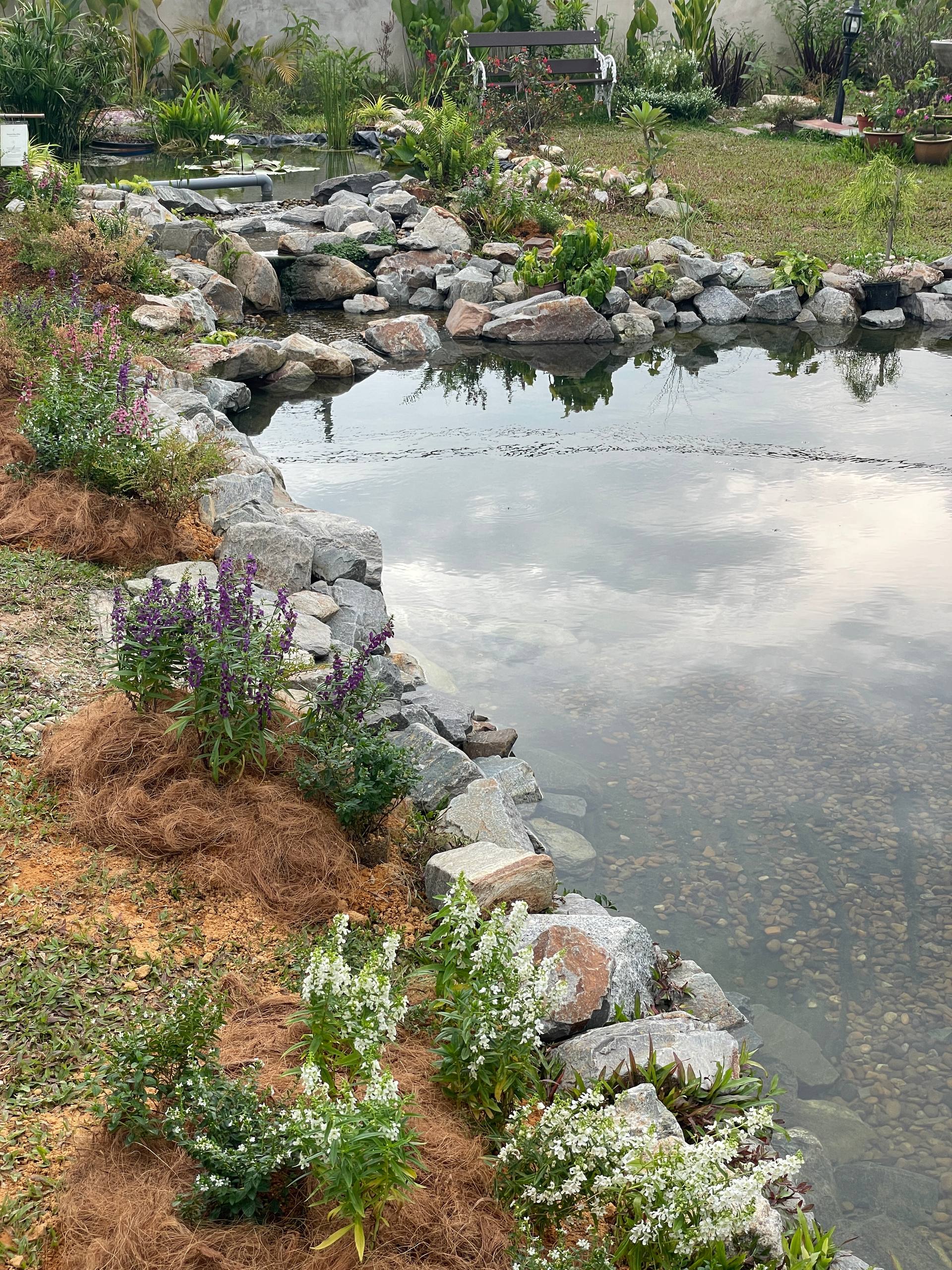 Elma Farmstay natural pool — designed by AE Natural Pool